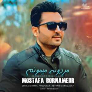 دانلود آهنگ جدید مصطفی برنامهر مردونه میمونم
