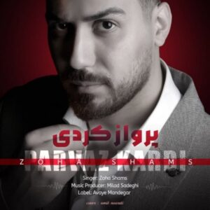 دانلود آهنگ جدید ضحی شمس پرواز کردی دانلود آهنگ جدید ضحی شمس پرواز کردی