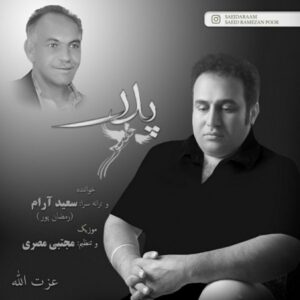 دانلود آهنگ جدید سعید آرام پدر 