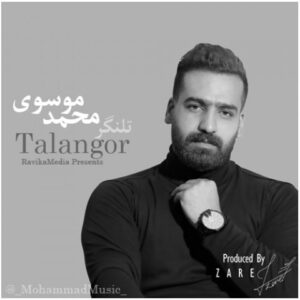 دانلود آهنگ جدید محمد موسوی تلنگر