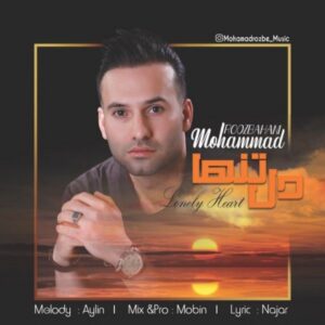 دانلود آهنگ جدید محمد روزبهانی دل تنها