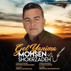 دانلود آهنگ جدید محسن شکرزاده گل یانیما