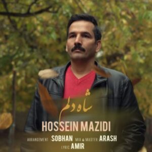دانلود آهنگ جدید حسین مزیدی شاه دلم