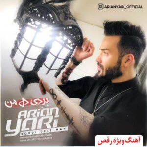 دانلود آهنگ جدید آرین یاری بردی دل من دانلود آهنگ جدید آرین یاری بردی دل من