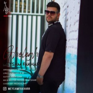 دانلود آهنگ جدید میثم فخار قلق دانلود آهنگ جدید میثم فخار قلق