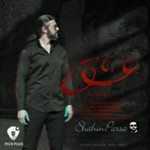 دانلود آهنگ جدید شاهین پارسا عشق   