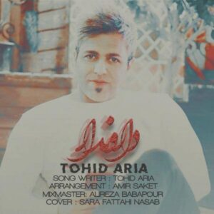 دانلود آهنگ جدید توحید آریا دار و ندار  
