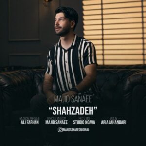    دانلود آهنگ جدید مجید سنایی شاهزاده