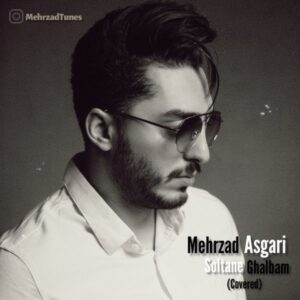 دانلود آهنگ جدید مهرزاد عسگری سلطان قلبم