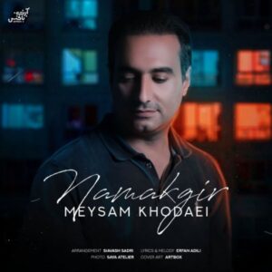 دانلود آهنگ جدید میثم خدایی نمک گیر