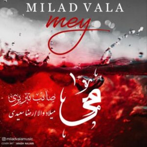 دانلود آهنگ جدید میلاد والا می