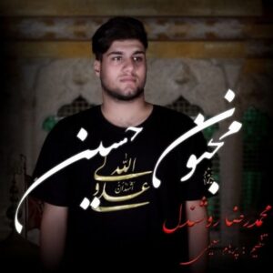  دانلود آهنگ جدید محمدرضا روشندل مجنون حسین