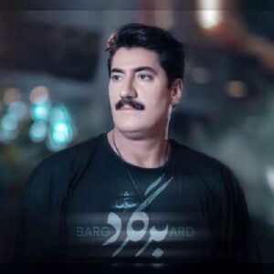 دانلود آهنگ جدید سروش برگرد