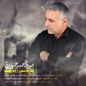    دانلود آهنگ جدید سید محمد حیدری یاعلی زود بیا