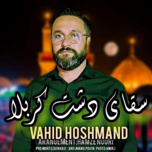  دانلود آهنگ جدید وحید هوشمند سقای دشت کربلا   