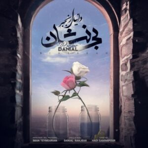 دانلود آهنگ جدید دانیال رنجبر بی نشان
