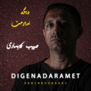 دانلود آهنگ جدید حبیب کوهساری دیگه ندارمت