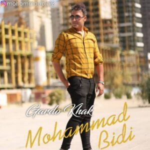 دانلود آهنگ جدید محمد بیدی گرد و خاک