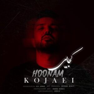 دانلود آهنگ جدید هونام کجایی