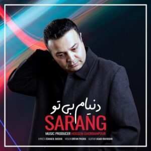 دانلود آهنگ جدید سارنگ دنیام بی تو دانلود آهنگ جدید سارنگ دنیام بی تو