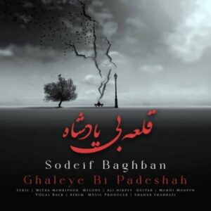دانلود آهنگ جدید صدیف باغبان قلعه بی پادشاه