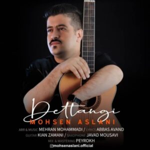 دانلود آهنگ جدید محسن اصلانی دلتنگی دانلود آهنگ جدید محسن اصلانی دلتنگی