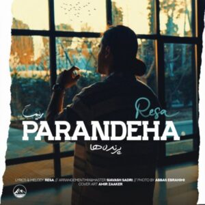 دانلود آهنگ جدید ریسا پرنده ها دانلود آهنگ جدید ریسا پرنده ها