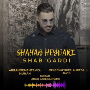 دانلود آهنگ جدید شهاب حیدری شبگردی دانلود آهنگ جدید شهاب حیدری شبگردی