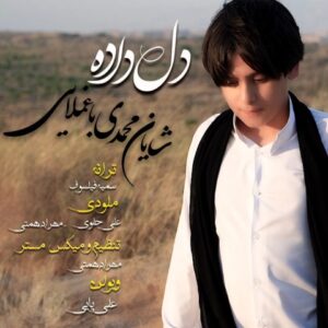 دانلود آهنگ جدید شایان محمدی باغملایی دلداده