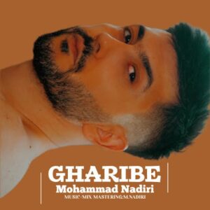 دانلود آهنگ جدید محمد ندیری غریبه دانلود آهنگ جدید محمد ندیری غریبه