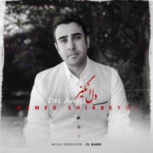 دانلود آهنگ جدید حامد شیربیگی دل انگیز