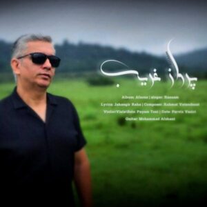 دانلود آهنگ جدید رسام پرواز غریب دانلود آهنگ جدید رسام پرواز غریب