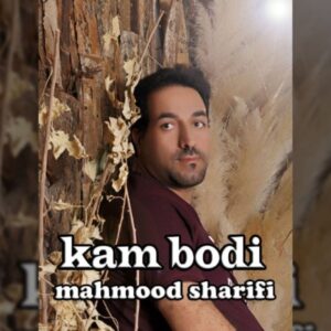 دانلود آهنگ جدید محمود شریفی کم بودی دانلود آهنگ جدید محمود شریفی کم بودی