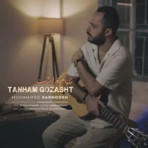 دانلود آهنگ جدید محمد زرنوش تنهام گذاشت دانلود آهنگ جدید محمد زرنوش تنهام گذاشت
