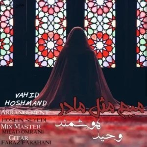 دانلود آهنگ جدید وحید هوشمند میم مثل مادر دانلود آهنگ جدید وحید هوشمند میم مثل مادر