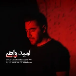 دانلود آهنگ جدید محمدرضا زارعی امید واهی دانلود آهنگ جدید محمدرضا زارعی امید واهی