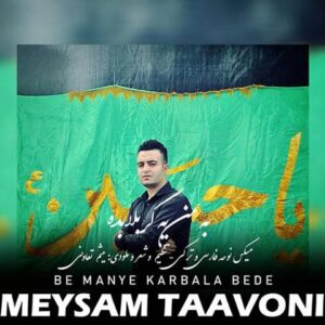 دانلود آهنگ جدید میثم تعاونی به من یه کربلا بده