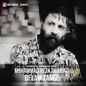 دانلود آهنگ جدید محمدرضا شریعتی دلم تنگه دانلود آهنگ جدید محمدرضا شریعتی دلم تنگه