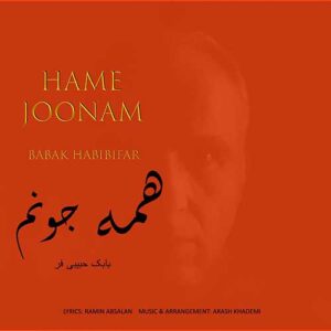 دانلود آهنگ جدید بابک حبیبی فر همه جونم