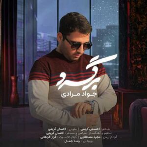 دانلود آهنگ جدید جواد مرادی برگرد