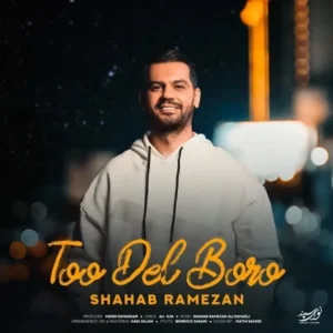 دانلود آهنگ جدید شهاب رمضان تو دل برو