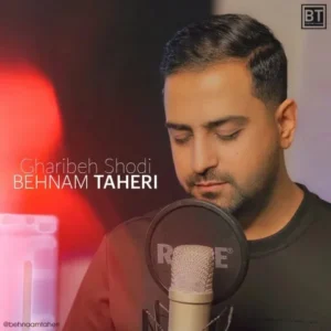 دانلود آهنگ جدید بهنام طاهری غریبه شدی دانلود آهنگ جدید بهنام طاهری غریبه شدی