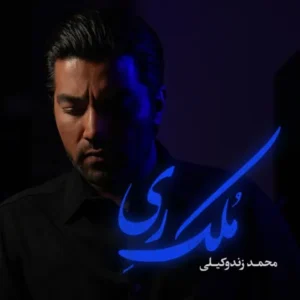دانلود آهنگ جدید محمد زندوکیلی ملک ری