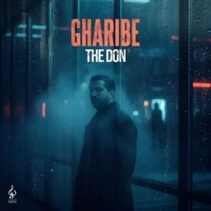 دانلود آهنگ جدید The Don غریبه دانلود آهنگ جدید The Don غریبه