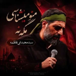 دانلود آهنگ جدید مجید بنی فاطمه منو میشناسی مگه نه دانلود آهنگ جدید مجید بنی فاطمه منو میشناسی مگه نه