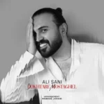 دانلود آهنگ جدید علی سانی دختر مستقل دانلود آهنگ جدید علی سانی دختر مستقل