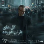 دانلود آهنگ جدید علیرضا قربانی گلهای باران خورده دانلود آهنگ جدید علیرضا قربانی گلهای باران خورده