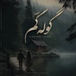 دانلود آهنگ جدید فریبرز سلیمی گوله کم دانلود آهنگ جدید فریبرز سلیمی گوله کم